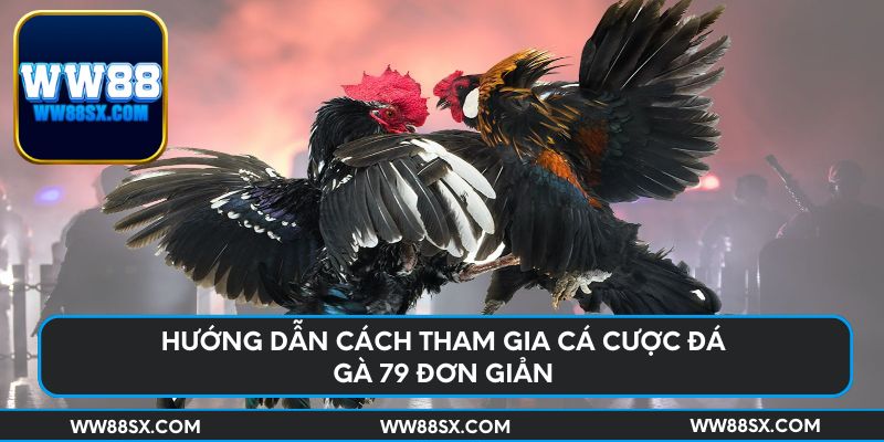 Hướng dẫn cách tham gia cá cược đá gà 79 đơn giản