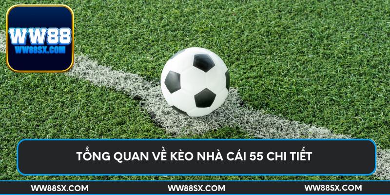 Tổng quan về kèo nhà cái 55 chi tiết