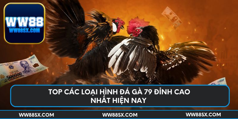 Top các loại hình đá gà 79 đỉnh cao nhất hiện nay